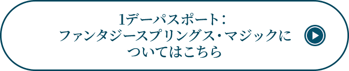 1デーパスポート：ファンタジースプリングス・マジックについてはこちら