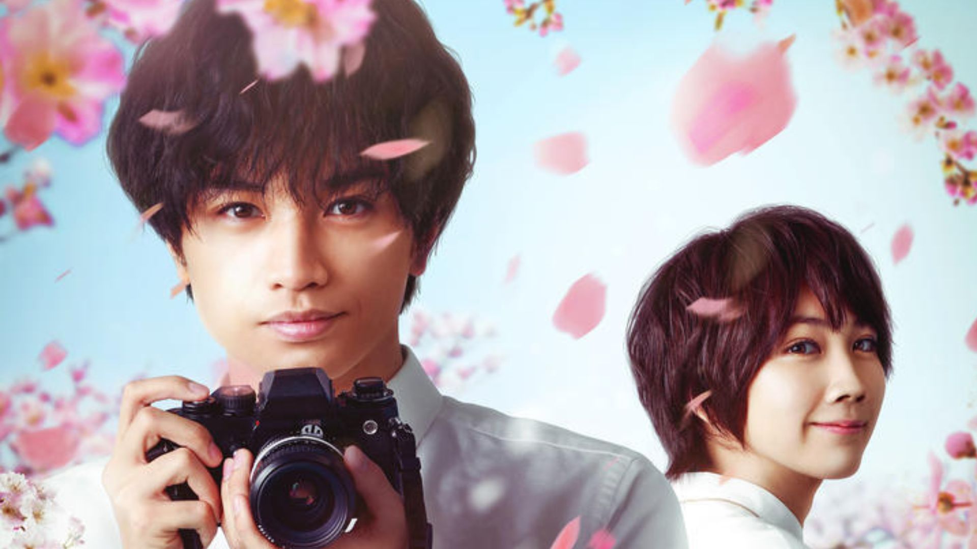 Netflix映画『桜のような僕の恋人』：感動のヒューマンドラマとラブロマンスが交差する夢と現実の物語
