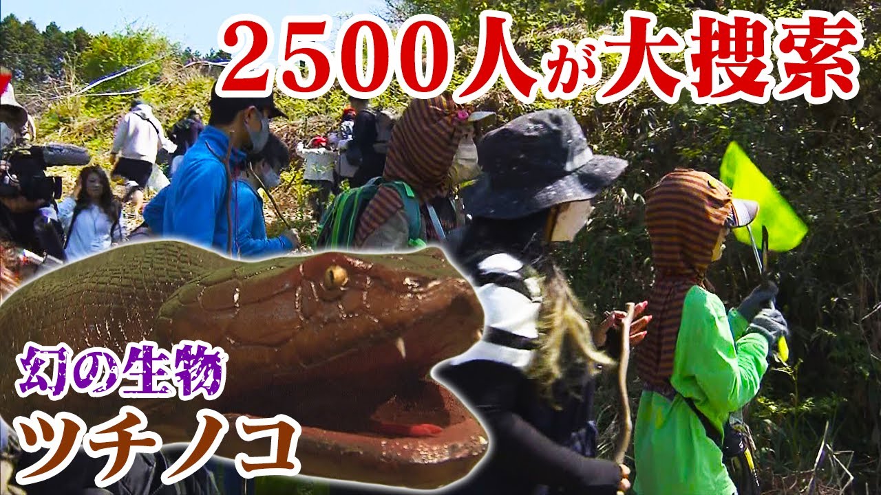 幻の生物ツチノコを探せ！岐阜県で恒例のイベントを4年ぶりに開催!!【動画ニュース】