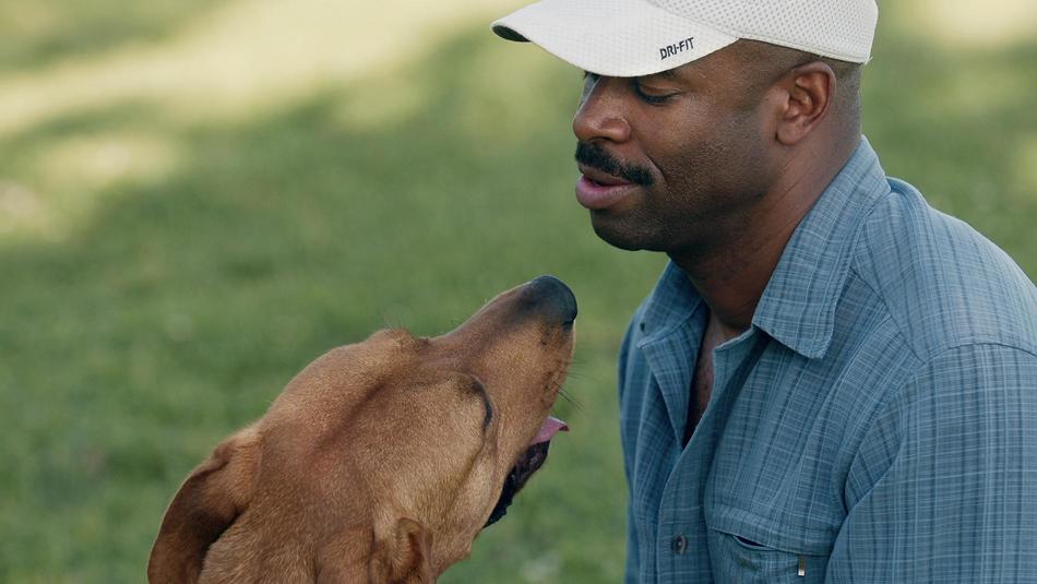 Netflixシリーズ『ドッグ・ストーリー: あなたは一番の友達 シーズン2』：人間と犬の絆を深く描く感動ドキュメンタリー