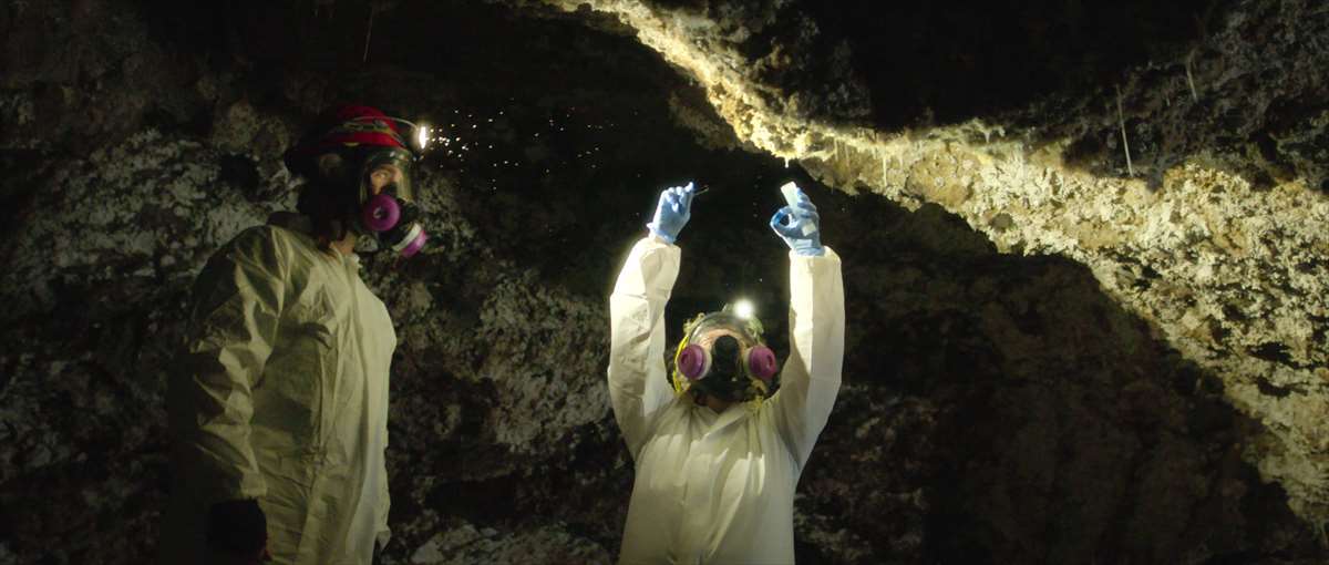 Netflixシリーズ「地球外生物の世界」