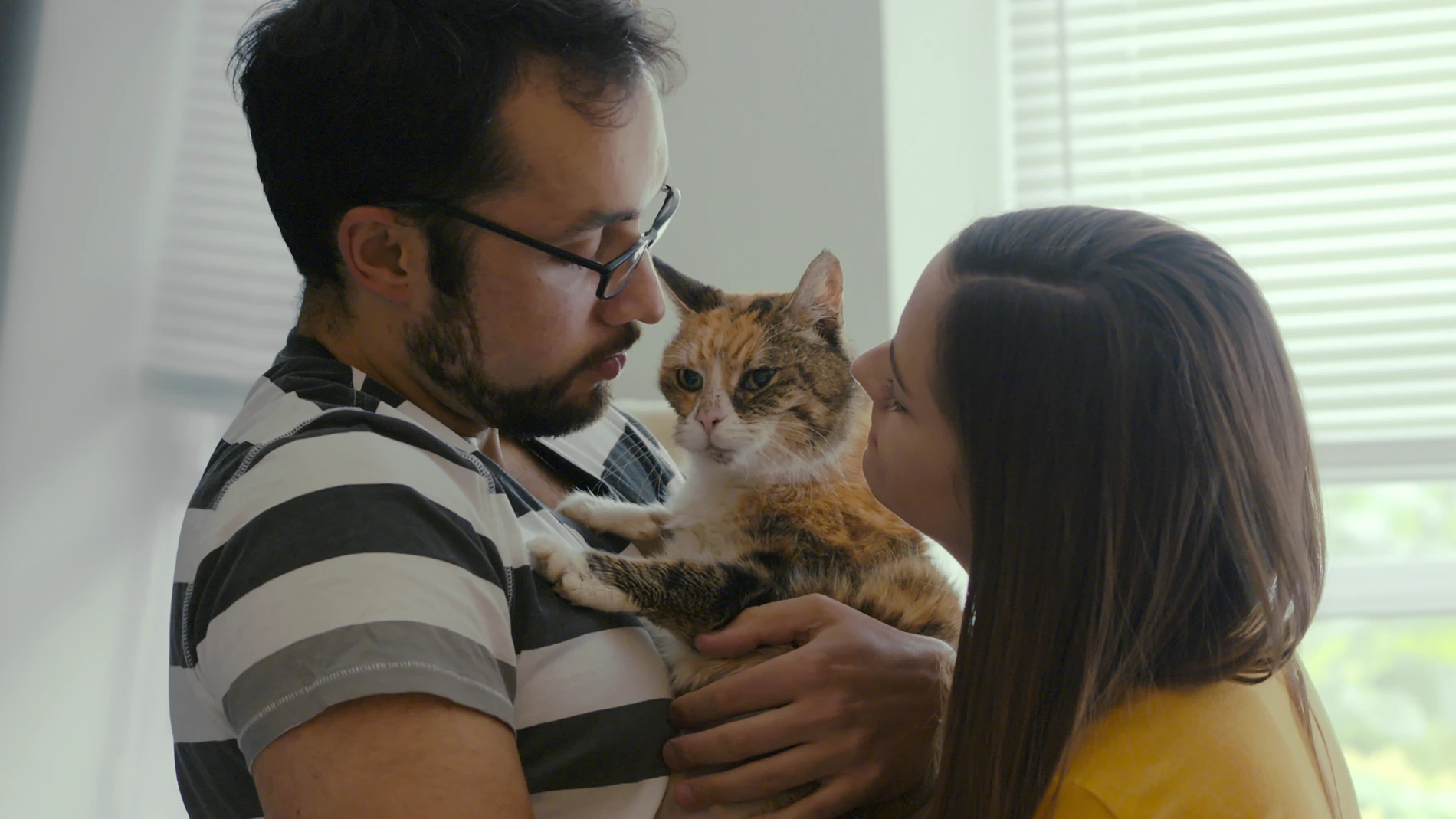 Netflixシリーズ『We Love Cats! 〜猫と人間の幸せな関係〜』あらすじ・キャスト情報