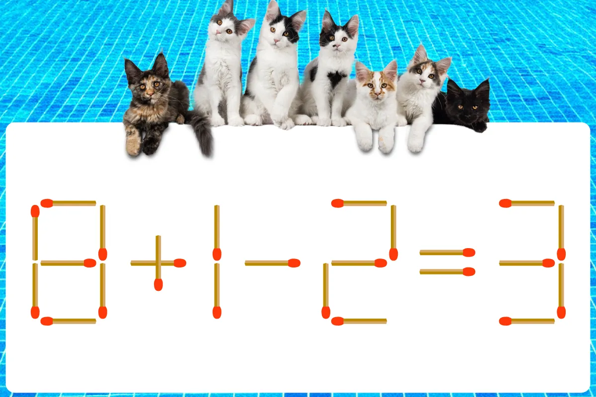 【マッチ棒クイズ】どこを動かす？「8＋1－2＝3」正しい式にしましょう