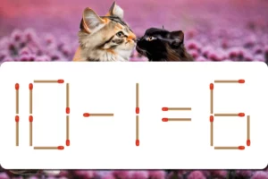 【マッチ棒クイズ】どこがおかしい？「10−1＝6」正しい式にしましょう