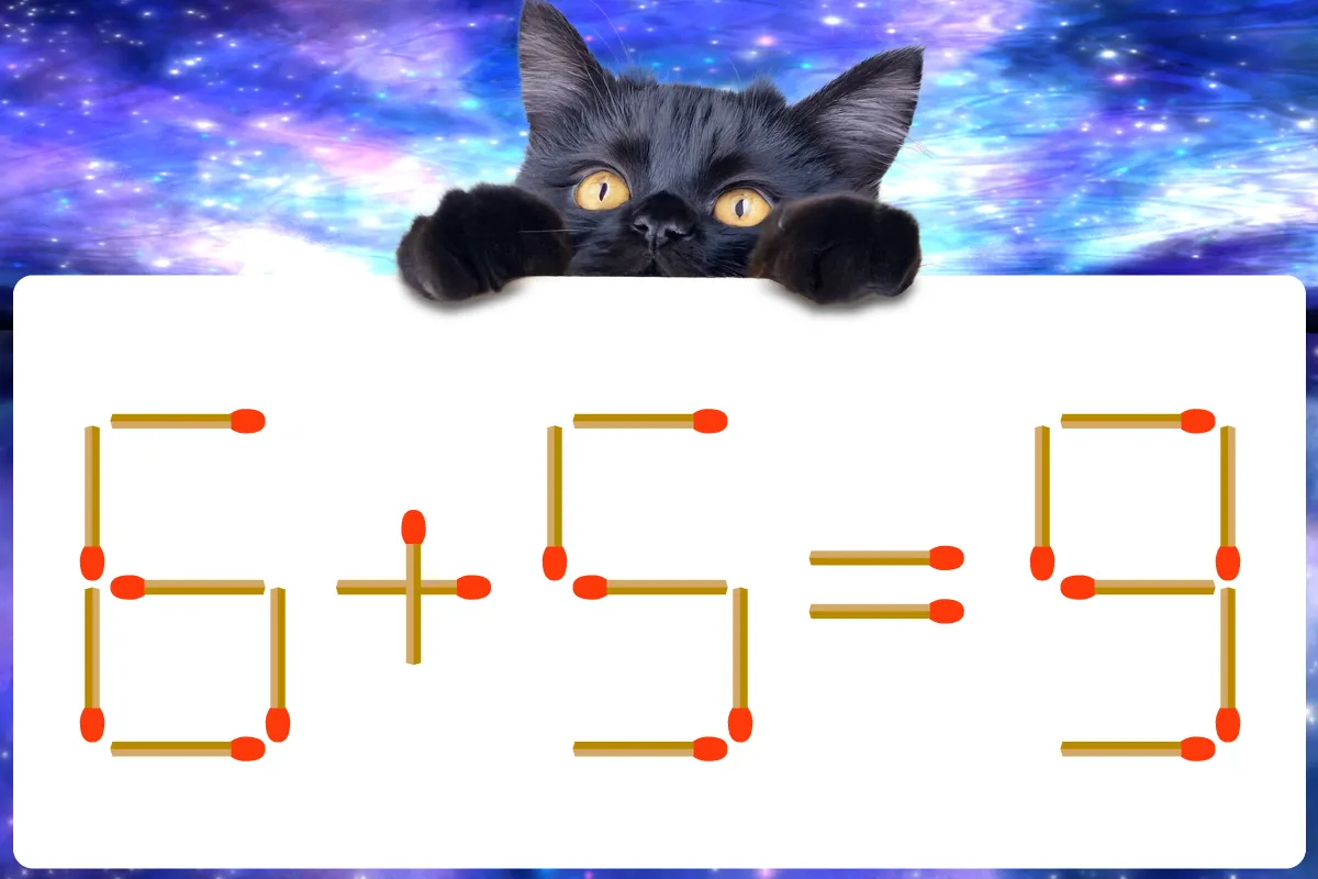 【マッチ棒クイズ】初級編に挑戦！「6＋5＝9」正しい式を完成させましょう