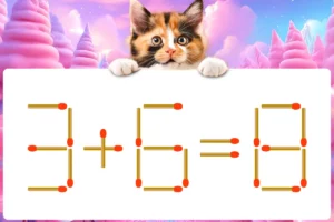 マッチ棒クイズ3＋6＝8
