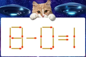 マッチ棒クイズ8－0＝1