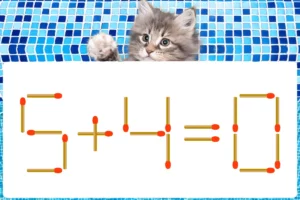 マッチ棒クイズ5＋4＝0