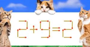 マッチ棒クイズ2＋9＝2