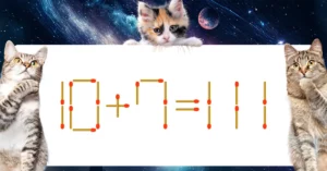 マッチ棒クイズ10＋7＝111