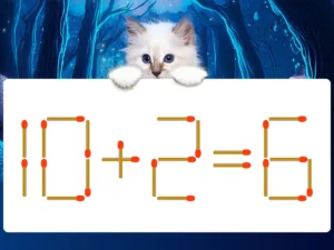 マッチ棒クイズ10＋2＝6