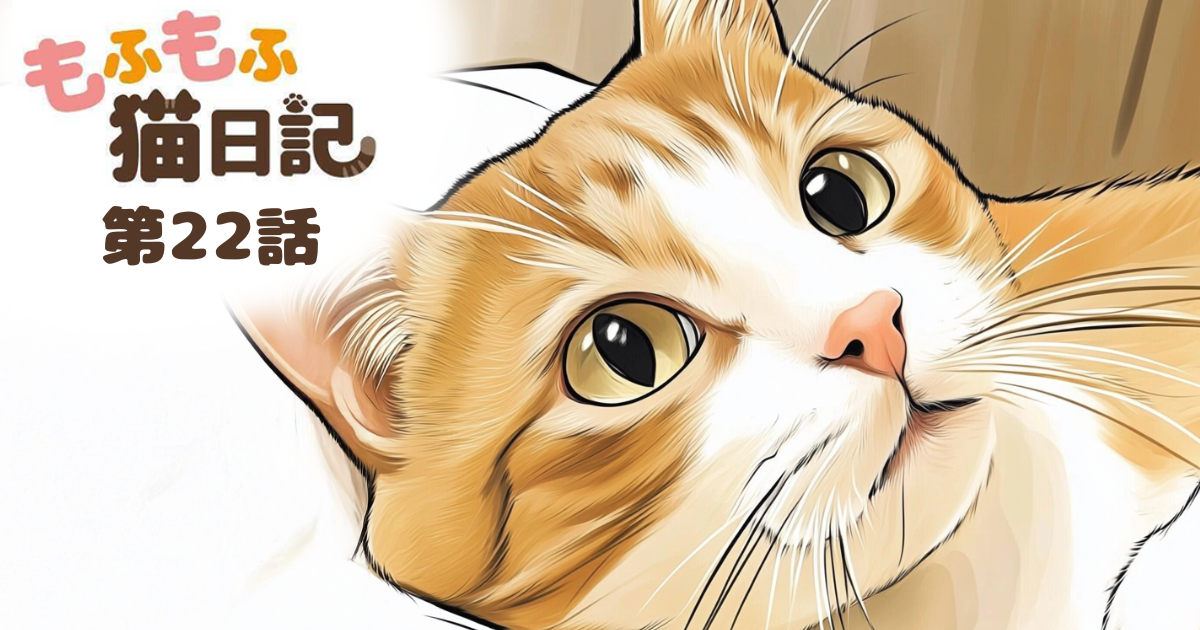 【もふもふ猫日記 第22話】引き出し開けたらなぜか来る【マンガでdポイント】