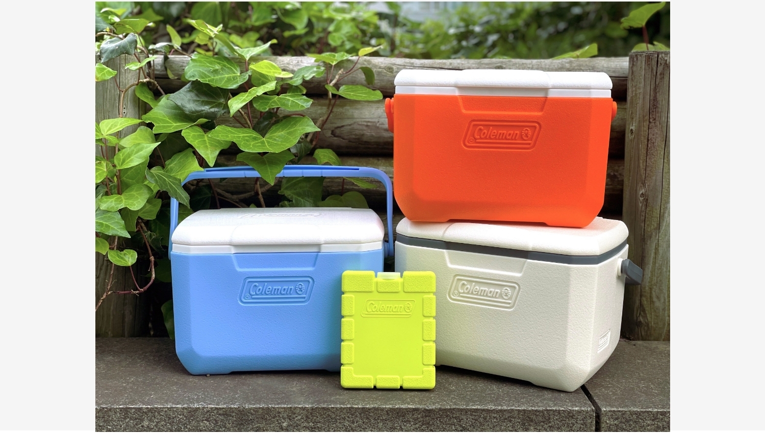【Amazon調査隊】コールマン「テイク6」好調!新モデルと保冷剤を発表