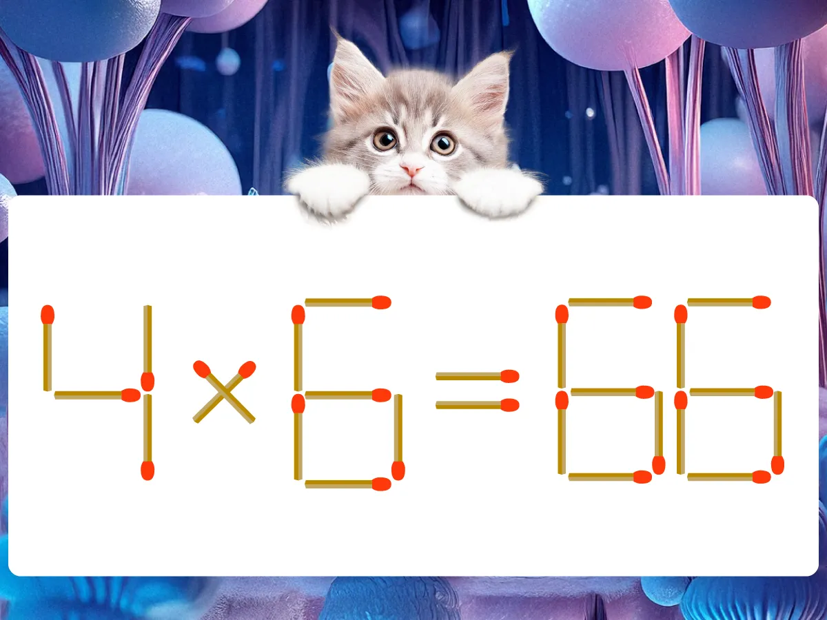 マッチ棒クイズ4×6=66