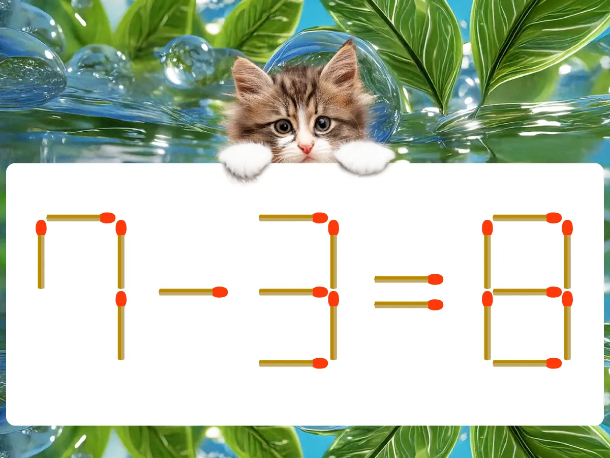 マッチ棒クイズ7-3=8