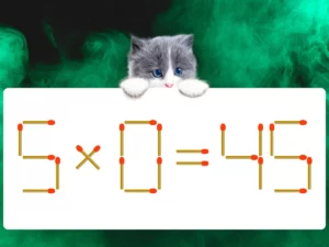 マッチ棒クイズ5×0＝45