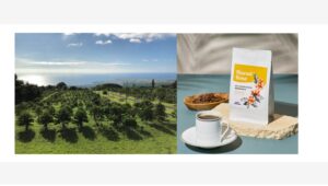 【ポイ活おすすめ情報】UCCのハワイコナコーヒー、年に一度の限定販売開始