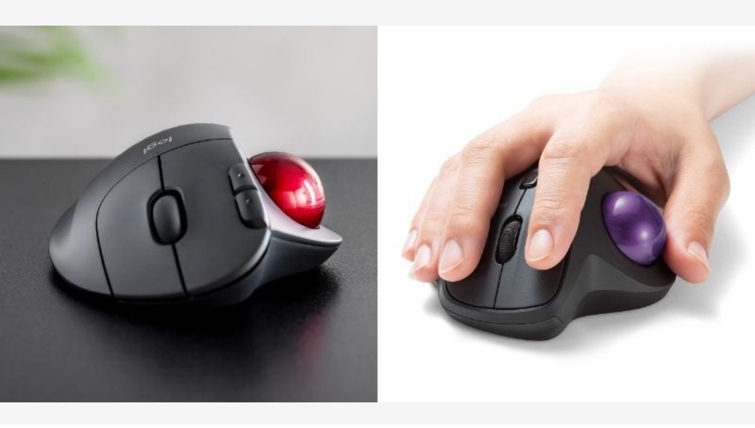 【Amazon調査隊】サンワサプライ、個性を彩る4色トラックボール発売